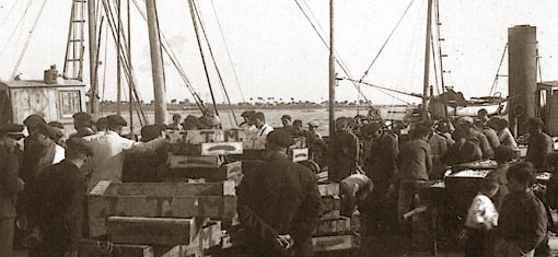 pescaderia_puertosantamaria1