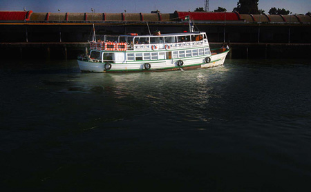 fitocarreto13_puertosantamaria