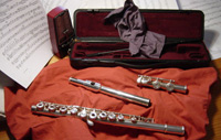flautatraversera