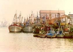joaquinbellidoganaza_barcos_puertosantamaria