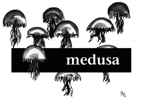 medusa_mfl_puertosantamaria