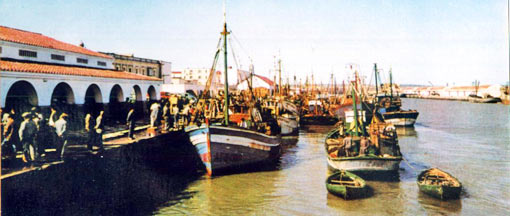 lonja_1970_puertosantamaria