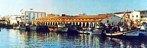 lonja__1970_3_puertosantamaria