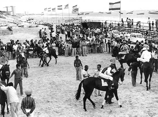 3.702. Luis Rivero Merry. Las carreras de caballos y su traslado de El Puerto a Sanlúcar