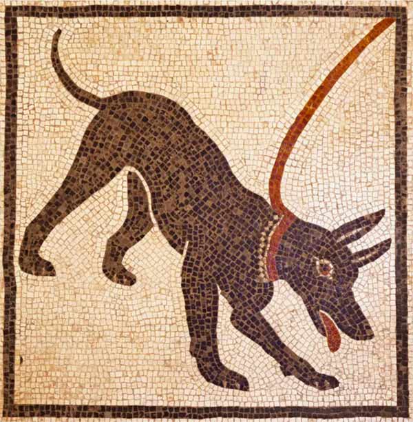 . Mosaico en el vestíbulo de la casa de Próculo en Pompeya