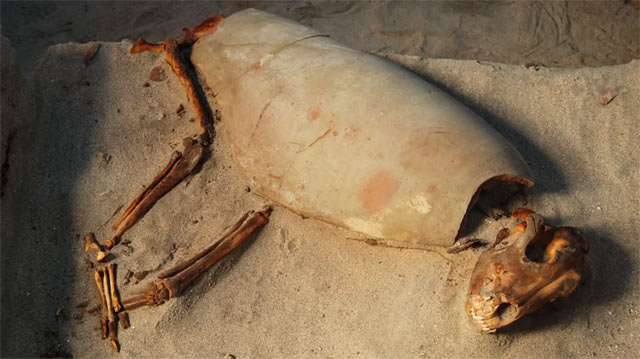 Enterramiento de perro en el antiguo Egipto. width=
