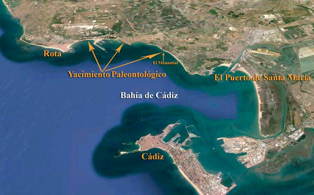 Ubicación en la Bahía de Cádiz, del yacimiento Paleontológico.