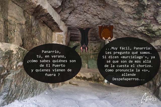 Viñeta Alberto Castrelo. Las panarrias, los murciélagos y el turismo
